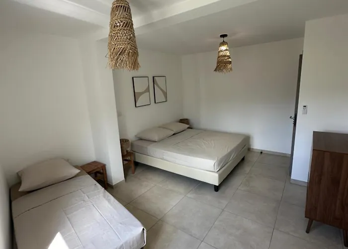 Bergerie Avec Vue Montagne * San-Nicolao